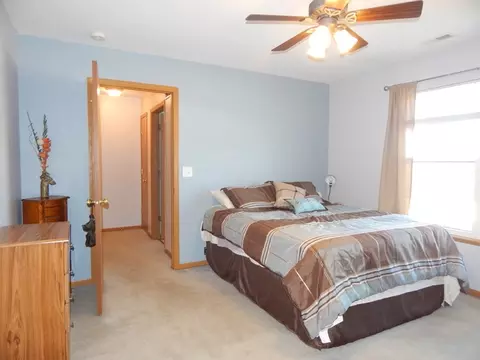 25717 S Daffodil Ln, Monee, IL 60449 photo 12