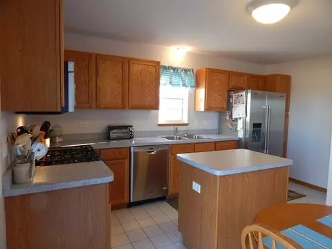 25717 S Daffodil Ln, Monee, IL 60449 photo 3
