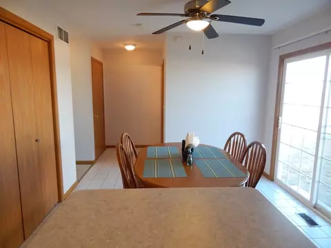 25717 S Daffodil Ln, Monee, IL 60449 photo 5