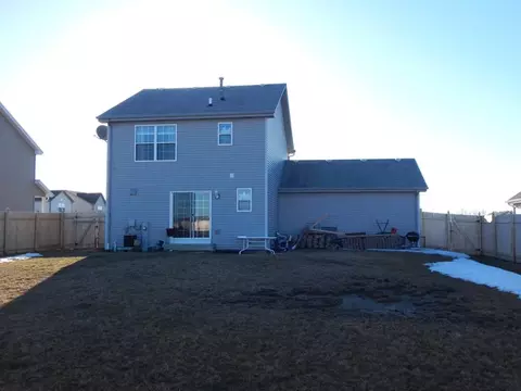 25717 S Daffodil Ln, Monee, IL 60449 photo 22