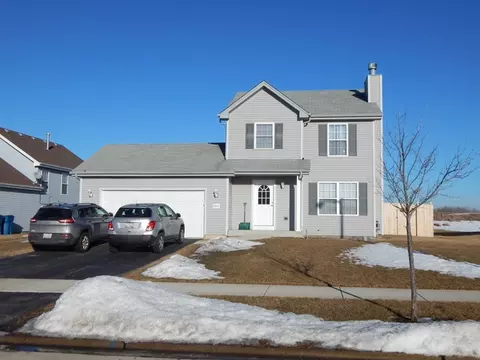 25717 S Daffodil Ln, Monee, IL 60449 photo 1