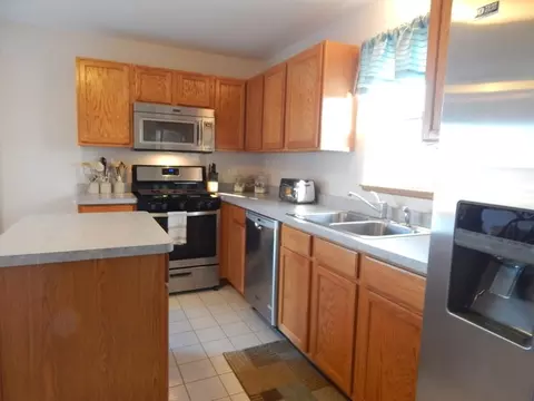 25717 S Daffodil Ln, Monee, IL 60449 photo 4