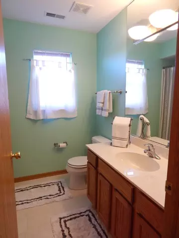 25717 S Daffodil Ln, Monee, IL 60449 photo 16