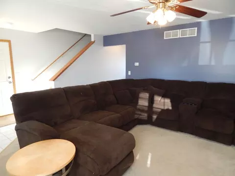 25717 S Daffodil Ln, Monee, IL 60449 photo 8