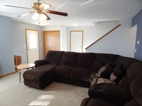25717 S Daffodil Ln, Monee, IL 60449 photo 7