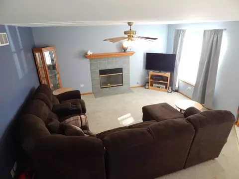 25717 S Daffodil Ln, Monee, IL 60449 photo 9