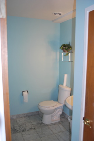 1050 E 49th St, Chicago, IL 60615 photo 9