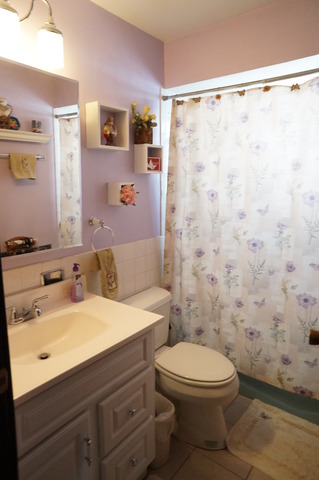 7230 W 86th St #2a, Bridgeview, IL 60455 photo 10