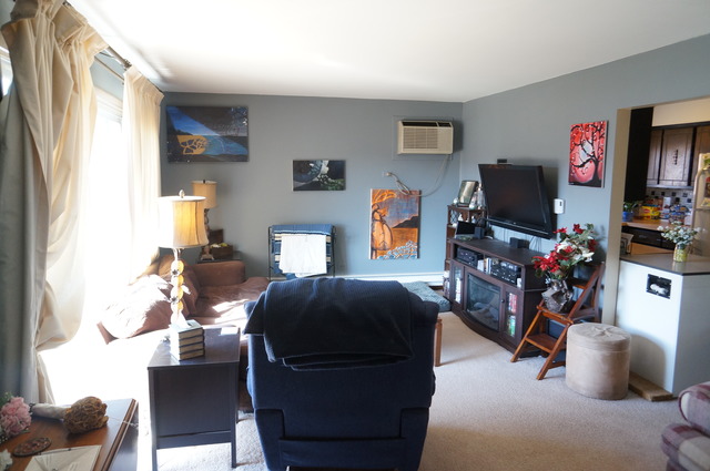 7230 W 86th St #2a, Bridgeview, IL 60455 photo 5