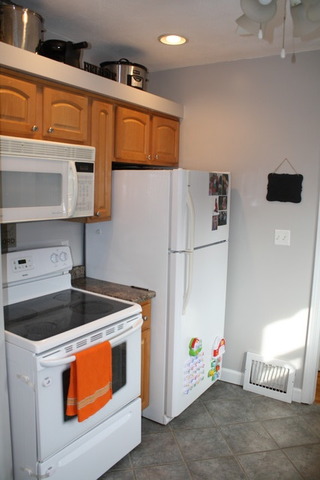 217 E Hamilton Ave, Watseka, IL 60970 photo 14