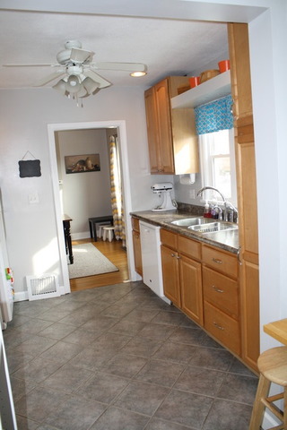 217 E Hamilton Ave, Watseka, IL 60970 photo 13