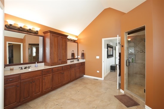 3586 Wetlands Ct, Elgin, IL 60124 photo 14
