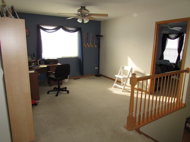 6010 Cherry Ridge Dr, Plainfield, IL 60586 photo 9
