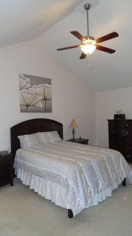 1703 Chestnut Hill Rd, Plainfield, IL 60586 photo 13
