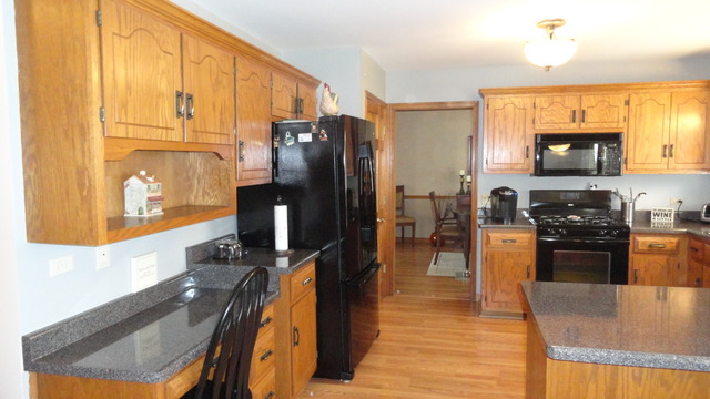 1703 Chestnut Hill Rd, Plainfield, IL 60586 photo 5