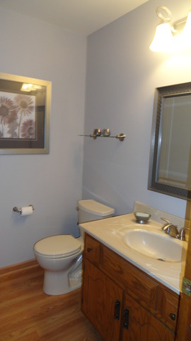 1703 Chestnut Hill Rd, Plainfield, IL 60586 photo 12