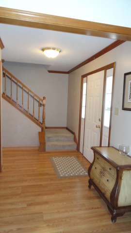 1703 Chestnut Hill Rd, Plainfield, IL 60586 photo 11