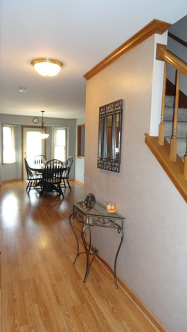 1703 Chestnut Hill Rd, Plainfield, IL 60586 photo 3