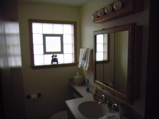 7339 N Oleander Ave, Chicago, IL 60631 photo 10