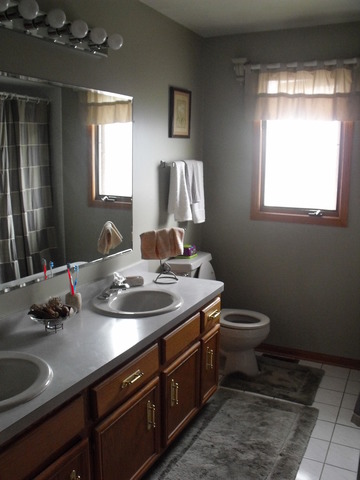 8414 S 78th Ave, Bridgeview, IL 60455 photo 9