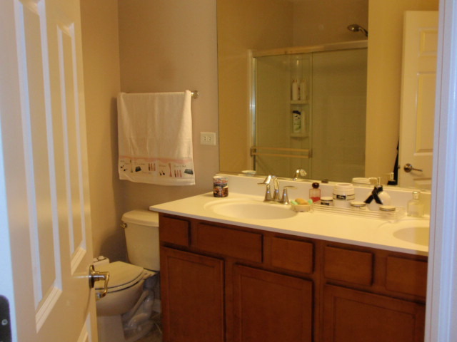 10242 Camden Ln #e, Bridgeview, IL 60455 photo 11