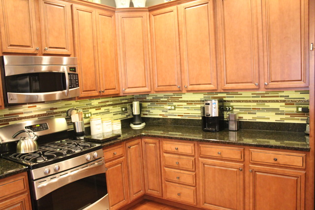 1013 Riviera Dr, Elgin, IL 60124 photo 12