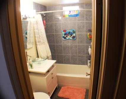 4331 Maple Ave, Brookfield, IL 60513 photo 11