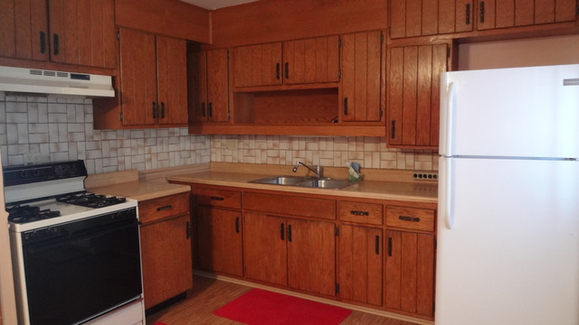 3416 Sally Dr, Steger, IL 60475 photo 4