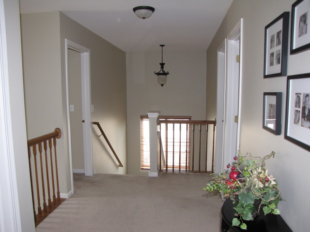 12909 Summer House Dr, Plainfield, IL 60585 photo 18