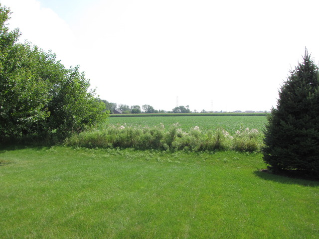 12909 Summer House Dr, Plainfield, IL 60585 photo 25