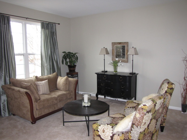 12909 Summer House Dr, Plainfield, IL 60585 photo 8