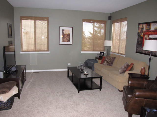 12909 Summer House Dr, Plainfield, IL 60585 photo 2