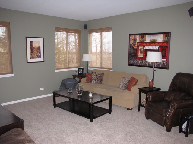 12909 Summer House Dr, Plainfield, IL 60585 photo 7