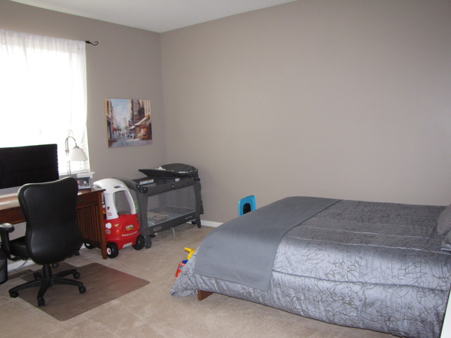 12909 Summer House Dr, Plainfield, IL 60585 photo 14