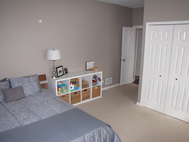 12909 Summer House Dr, Plainfield, IL 60585 photo 15
