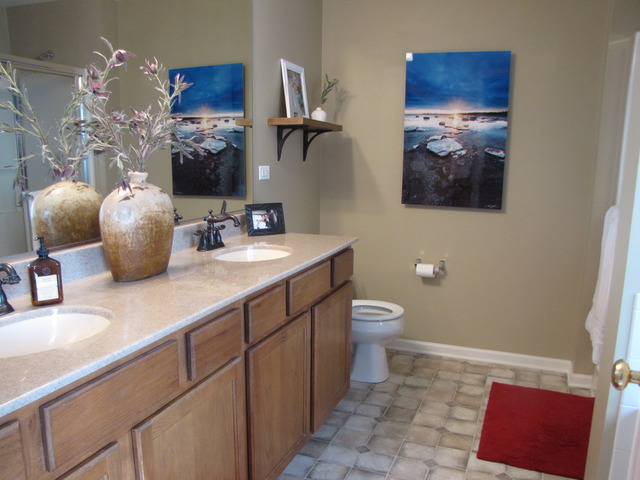 12909 Summer House Dr, Plainfield, IL 60585 photo 11