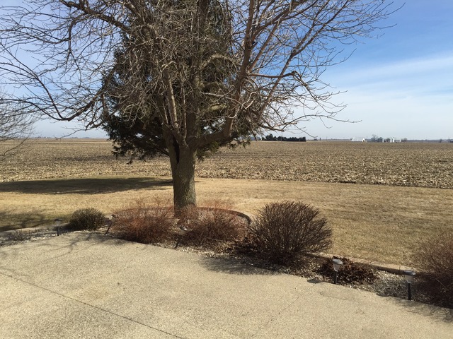 1753 Todd Rd, Sublette, IL 61367 photo 25