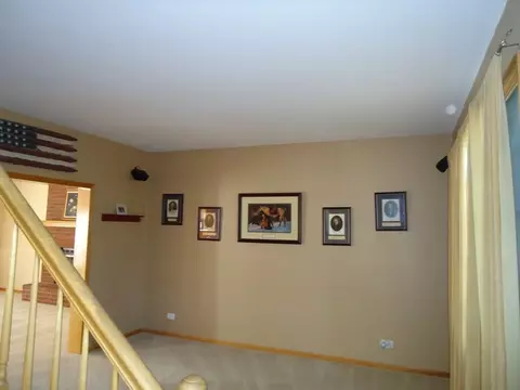 13302 Wellesley Cir, Plainfield, IL 60585 photo 3