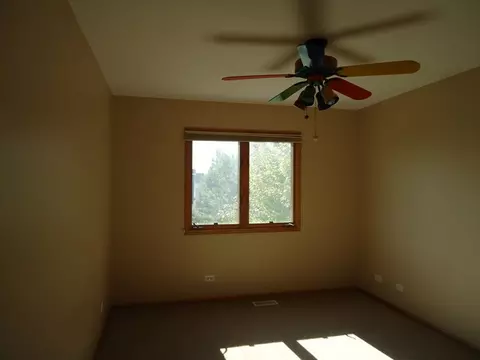 13302 Wellesley Cir, Plainfield, IL 60585 photo 11