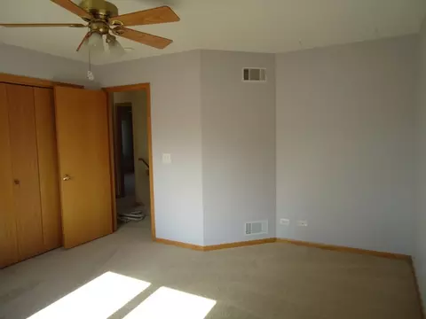 13302 Wellesley Cir, Plainfield, IL 60585 photo 13