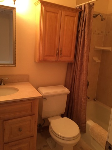 1679 Valley Forge Ct #c, Wheaton, IL 60189 photo 11