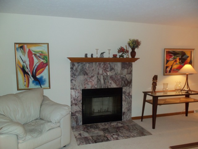 855 Michael Dr, Morris, IL 60450 photo 8