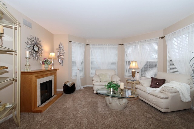 1433 Eastgate Ln, Bartlett, IL 60103 photo 17