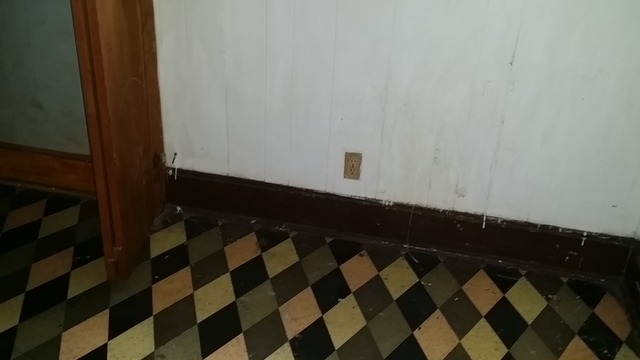 10349 S Avenue O, Chicago, IL 60617 photo 2