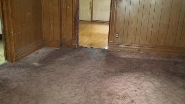10349 S Avenue O, Chicago, IL 60617 photo 6