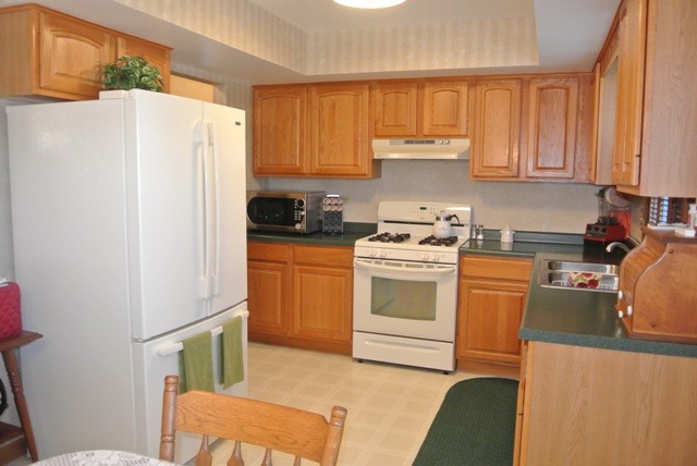 409 Cornell Ln, Elgin, IL 60123 photo 3