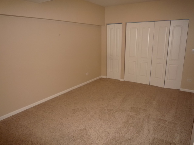 24323 Champion Dr, Plainfield, IL 60585 photo 13