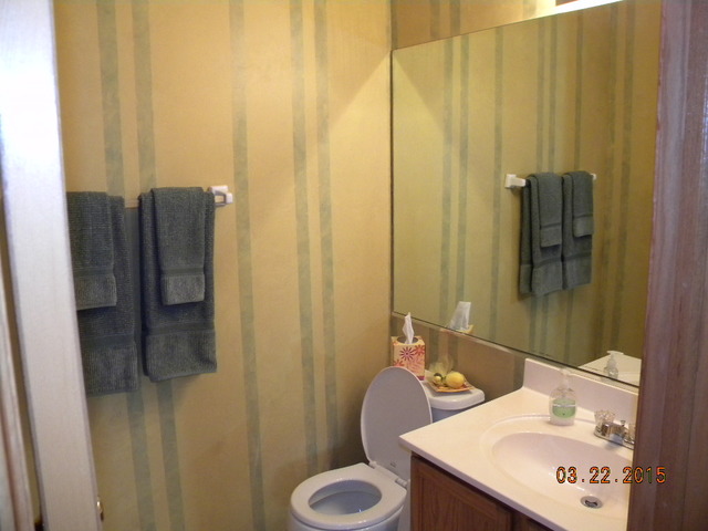 75 Lemans Dr, Wheeling, IL 60090 photo 12