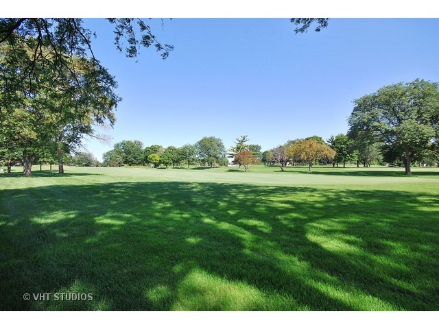 633 Burning Tree Ln, Naperville, IL 60563 photo 15
