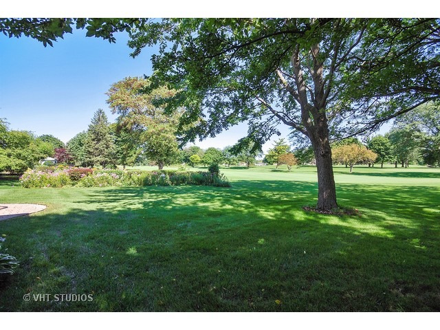 633 Burning Tree Ln, Naperville, IL 60563 photo 19